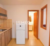 Kitchen in a 2-room apartment with a wood-patterned floor and modern equipment.