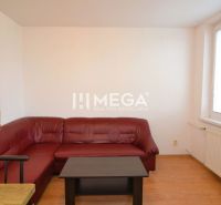 Living room in a two-room apartment with a sofa and a wooden decor floor.