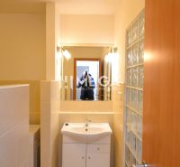 Bathroom with a sink in a 2-room apartment, complemented by a mirror and lighting.