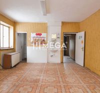 Interior of commercial spaces with wood-patterned flooring and wooden walls.