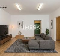 Commercial space with a wood-patterned floor, gray sofa, and plants.