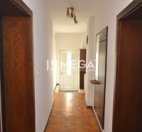 A hallway in a family house with a wood-patterned floor and light brown doors.