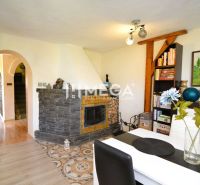 Interior of a family house with a fireplace, flowers, and a library, floor with wooden decor.