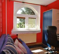 A room in a family house with red walls, a carpet, a window, a couch, and a desk.