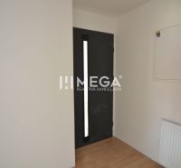 Entrance hallway in a 2-room apartment with a wooden decor floor and black doors.