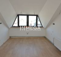 Attic room with wood-patterned flooring and a large window in a 2-room apartment.
