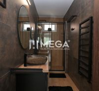 Bathroom in a family house with a mirror, sink, and dark walls.