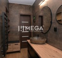 Bathroom interior in a family house with a mirror, sink, and wooden decor flooring.