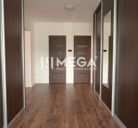 A hallway in a family house with a wood-patterned floor and built-in wardrobes.
