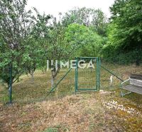A garden with grass and trees in a family house in the Poľana housing estate, Humenné.