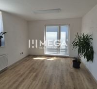 A bright office with two plants and a wooden-patterned floor.