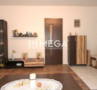 Living room in a family house with designer furniture and wooden decor flooring.