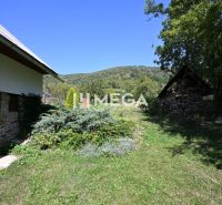 A garden at a family house in Kolbasov with lush vegetation and a view of the surrounding hills.