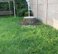 A garden with a lawn and a well at a family house on Staničná Street in Belá nad Cirochou.