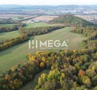 Aerial view of peculiar properties with forests and fields in Jasenov.