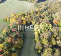 Autumn landscape in Jasenov on Jasenov Street, surrounded by forests and unique properties.