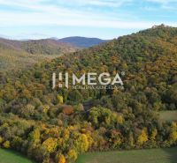 Aerial view of autumn forests around the Special Properties in Jasenov, Jasenov Street.