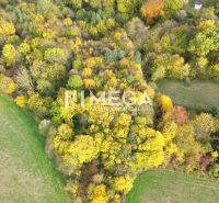 Aerial view of a colorful forest in Jasenov on Jasenov Street, Unusual Properties.