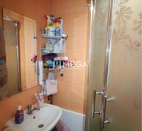 Bathroom in a 2-room apartment with orange tiles and a shower corner.