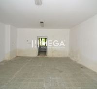Interior of commercial spaces with white walls and simple flooring, decorated with wall murals.