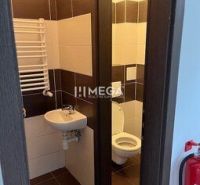 Toilet in commercial premises with brown and white tiles.