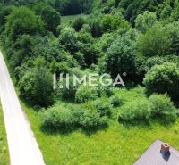 A path surrounded by greenery leads through the Pozemky - bývanie on Danova Street in Medzilaborce.