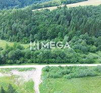 Meadows and forests near Danová Street, Medzilaborce, ideal for residential plots.