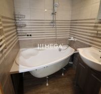 A bathroom with a bathtub and a sink in a 3-room apartment. Floor with wood decor.