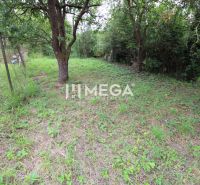A grassy plot with trees and a fence on Gagarinova Street in Snina.