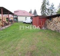 The courtyard of the family house in Ulič at Ulič 131, grass, stored wood, and a shelter.