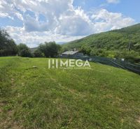 Gardens with green lawns in Snina on Snina Street surrounded by wooded hills.