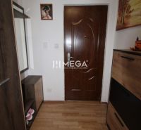 A hallway in a 2-room apartment with a wooden decor floor and dark furniture.