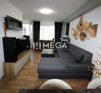 Living room in a two-room apartment with a wooden decor floor and a gray sofa.
