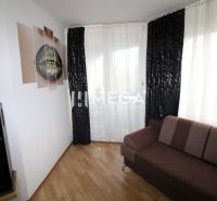 Living room in a two-room apartment with a dark sofa, speaker, and wooden decor flooring.