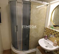 Bathroom in a 2-room apartment with wood-patterned flooring, a shower corner, and a sink.