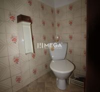 A bathroom with floral patterned tiles in a family house.
