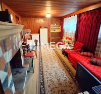 Living room in a family house with a fireplace, wooden ceiling, and floral carpet.