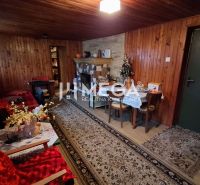 Interior of a family house with wooden paneling, carpet, and a fireplace by the wall.