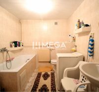 A bathroom in a family house with a bathtub, sink, washing machine, and shelves on the wall.