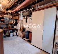A storage space in a cottage full of tools and shelves.