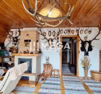 The interior of a cabin with a fireplace mantel, hunting trophies, and a floor with a wooden decor.