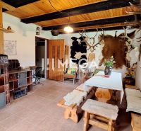 The interior of the cabin with wooden decorations, hunting trophies, and a brick stove.