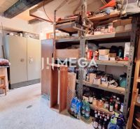 Storage space in a cottage with shelves full of preserves and canned goods, floor with wooden decor.