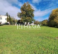 Grassy residential plots in the town of Staré, on Staré Street, lined with trees.