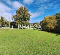 A grassy plot for living in the town of Staré on Staré Street, surrounded by trees.