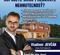 Real estate agency advertisement with a modern family house and the contact details of the agent.