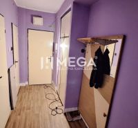 Purple walls in the hallway of a 2-room apartment, entrance door, floor with wooden decor.