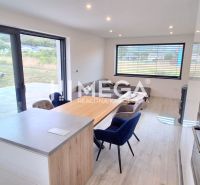 Interior of a family house with a spacious kitchen and living room, wooden decor flooring.