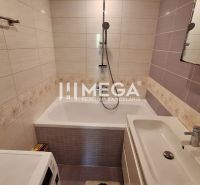 Bathroom with a bathtub and a sink, tiles with a floral pattern in a 3-room apartment.