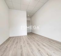 A bright office with wood-patterned flooring and white walls.